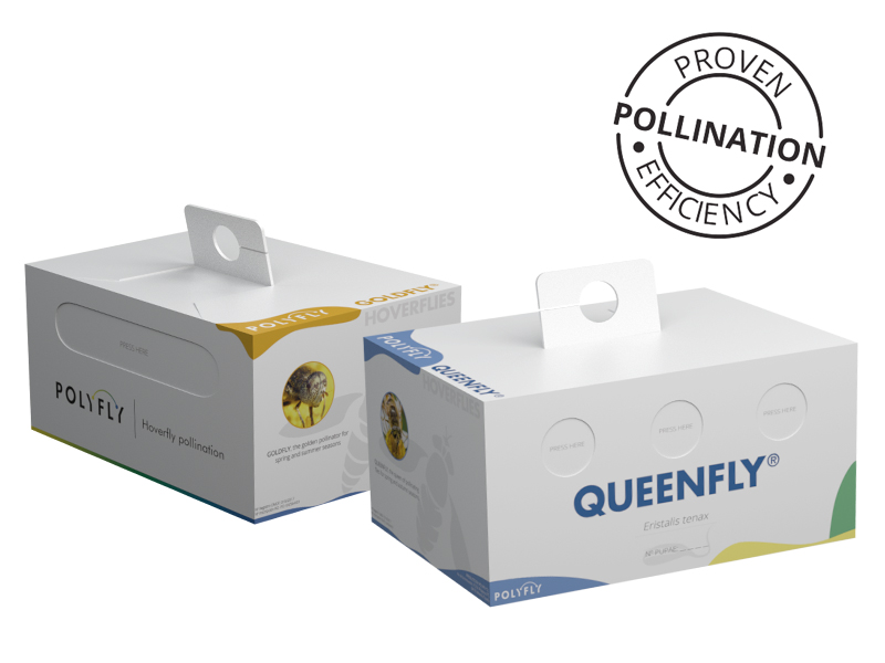 cajas-polyfly